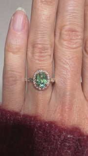 Halo Montana Melrose