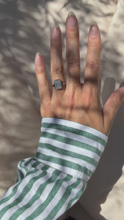 Platinum Prism