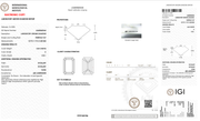 Custom Engagement Ring - Kylie Diamond Invoice